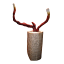 Wild Plum Growers Reishi Mushroom Grow Kit detail