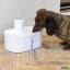 Bneta Automated Pet Water Fountain, 2.5L next to a dog