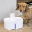 Bneta Automated Pet Water Fountain, 2.5L next to a dog