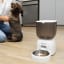 Bneta Automatic Pet Feeder on laminated flooring