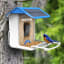 Bneta Smart Pet AI Bird Feeder on a tree
