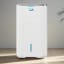 Crystal Aire Desiccant Dehumidifier, 8L in a living space