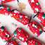 Holly & Ivy Games Paint Your Own Christmas Scene Crackers, Pack of 6 detail