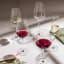 Schott Zwiesel Fortissimo White Wine Glasses, Set of 4 with other glasses