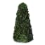 Andrea's Topiaries Buxi Tree, 28cm - Green