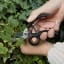 Kikkerland Garden Shears cutting leaves 