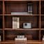 Xgimi Horizon Projector on a shelf
