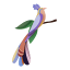 Studio ROOF Paradise Bird Paper Wall Art - Bisa
