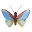 Studio ROOF Small Insects Claudina Butterfly Paper Wall Art