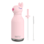 Asobu Vacuum Insulated Bestie Bottle, 460ml - Bunny