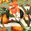 DSA Botanica Tropicana Napkins, Set of 6 - White on the table