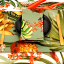 DSA Botanica Tropicana Napkins, Set of 6 - Sage on the table