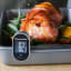 KitchenAid Instant-Read Pivoting Digital Thermometer measuring meat temperature 