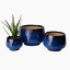 Thread Office Blue Ceramic Glazed Planters, Set of 3 with plant