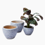 Thread Office Natural Ceramic Glazed Planters, Set of 3 with plant