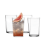 Salisbury & Co Unbreakable Tumblers, Set of 4