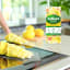 Zoflora Lemon Zing Concentrated Disinfectant, 500ml cleaning counter top