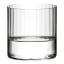 Riedel Bar H20 Optic All Purpose Tumblers, Set of 2 with water