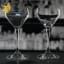 Riedel Bar Nic & Nora Glasses, Set of 2 two cocktails
