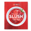 Zoku The Art of Slush Recipe Book