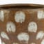 Thread Office Spotted Brown Ceramic Planter