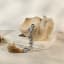 Thread Office Ceramic Clam Shell