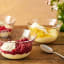 Jamie Oliver Big Love Dreamy Dessert Dishes, Set of 4
