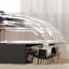 Milex Pro-Pet Shampooer Carpet Cleaner, 800W
