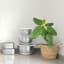 MicroGarden Stainless Steel Mixing Bowls, Set of 3