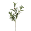 Humble & Mash Olive Spray 84cm Green Faux Plant