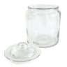 Trendz Of Today Glass Gallon Storage Jar - 3.8L 