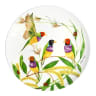 Maxwell & Williams Eloise Short Lyric Coupe Plate, 20cm - Gouldian Finch