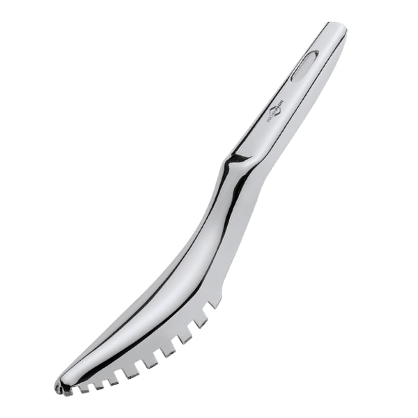Kuchenprofi Fish Scaler