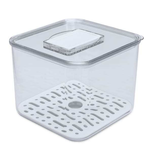 Trendz Of Today Fruit & Vegetable Fridge Storage Container, Small
