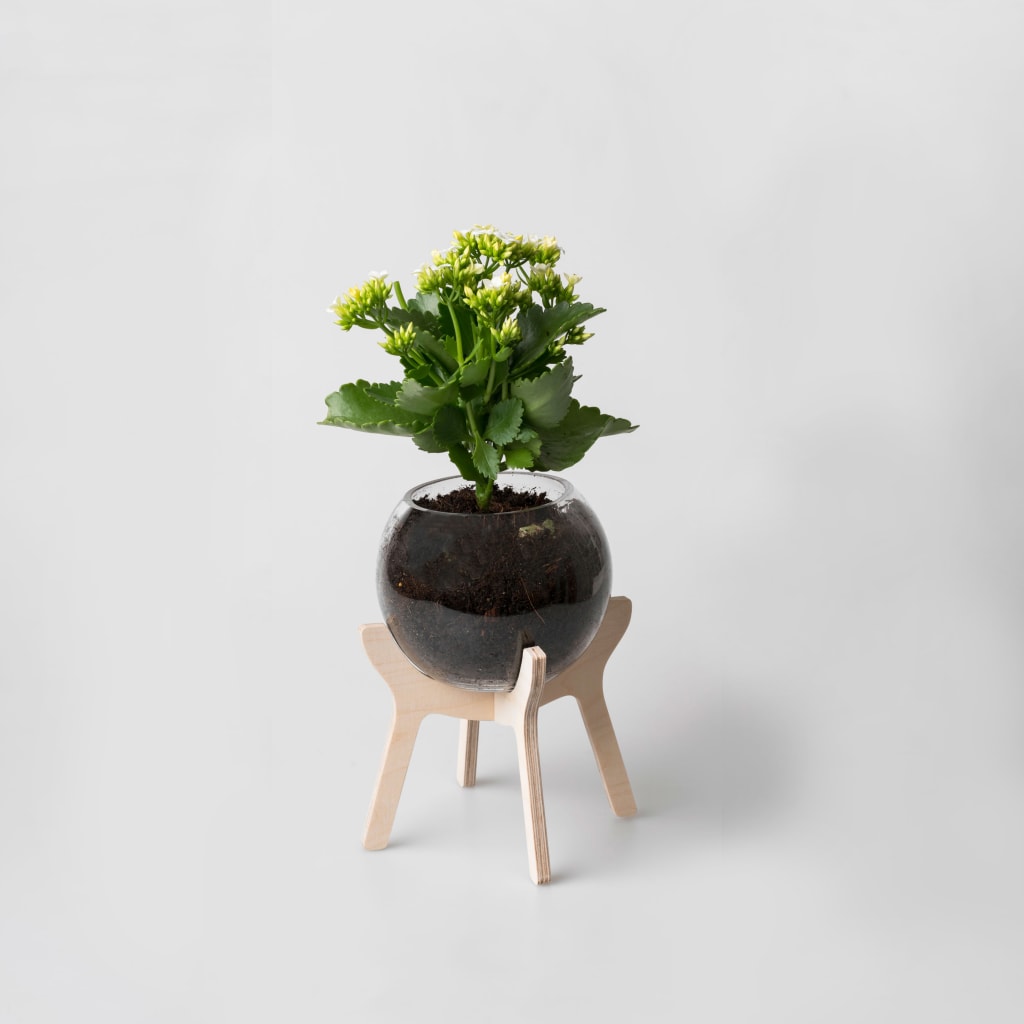 Native Decor Potjie Pot Plant Holder Yuppiechef