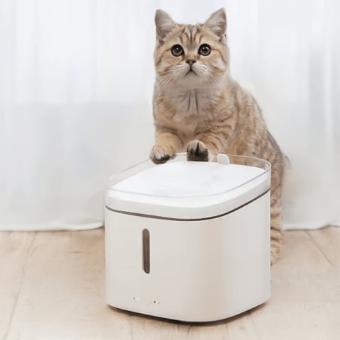 Solar powered cat water fountain on sale