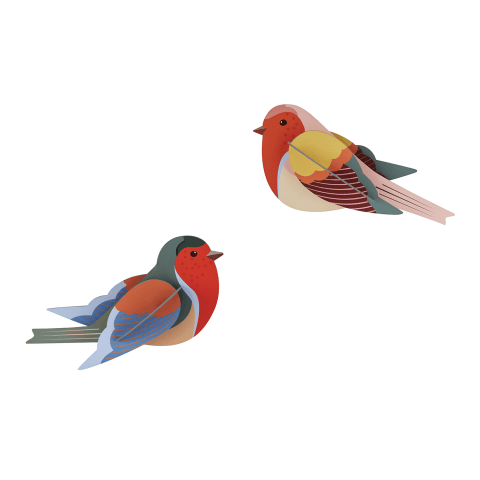 Robins Paper Wall Decoration Set of 2