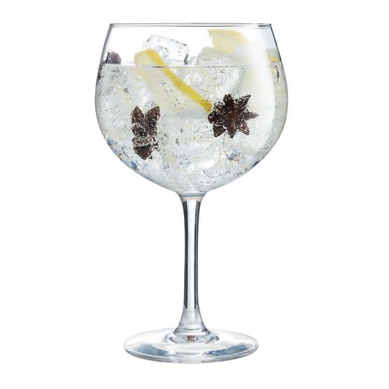 Arcoroc Vina Gin Glasses Set Of 6 Yuppiechef