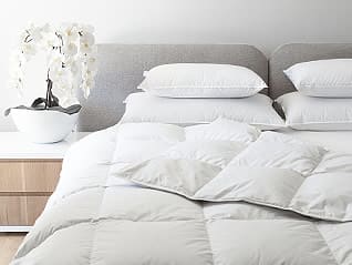 Buy Duck Goose Synthetic Down Duvet Inners Yuppiechef South