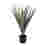Image of Thread Office Sisal Faux Plant