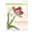 Image of New Mags The New Book of Flowers - Maria Sibylla Merian Softcover Coffee Table Book