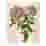Image of Hendrik Willem Botanical A3 Gift Bags, Set of 3