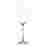 Image of Salisbury & Co Unbreakable Champagne Flutes, Set of 4