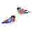 Image of Studio ROOF Finches Paper Wall Decor, Set of 2