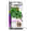 Image of Linda's Seeds Classic Sweet Basil Seeds