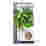 Image of Linda's Seeds Italian Flat Leaf Parsley Seeds