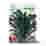 Image of Franchi Sementi Seeds Cavolo Laciniato Curly Kale Seeds, 6g