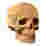 Image of Cartonic 3D Skull Sculpture Puzzle