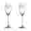 Image of Spiegelau Lead-Free Crystal Renaissance Champagne Flutes, Set of 2