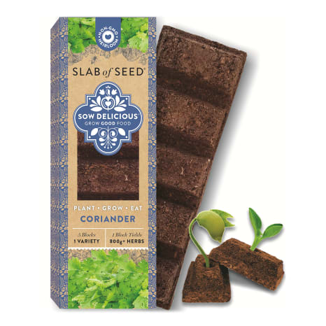 Image of Sow Delicious Slab of Seed Pure Coriander